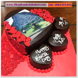 Bánh Sinh Nhật In Hình Ảnh - H311